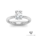 Oval Diamond Hidden Halo Engagement Ring(Mounts) 