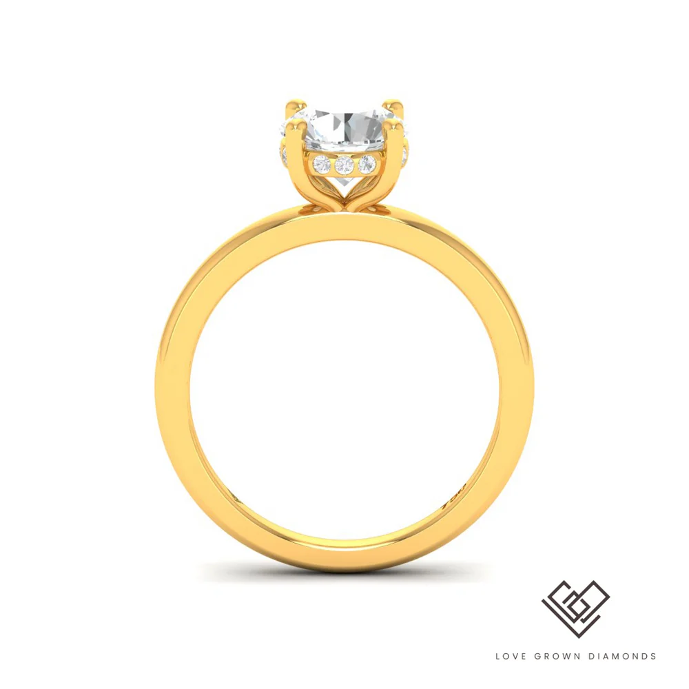 Round Diamond Hidden Halo Engagement Ring(Mount)   LERR-00001 (Based on 1ct center stone)