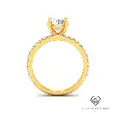Round Diamond Band Engagement Ring(Mount) LERR-00003(Based on 1ct center stone)