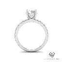 Round Diamond Band Engagement Ring(Mount) LERR-00003(Based on 1ct center stone)